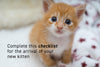 Complete This Checklist For The Arrival Of Your New Kitten