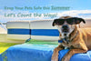 Keep Your Pets Safe this Summer - Let's Count the Ways!