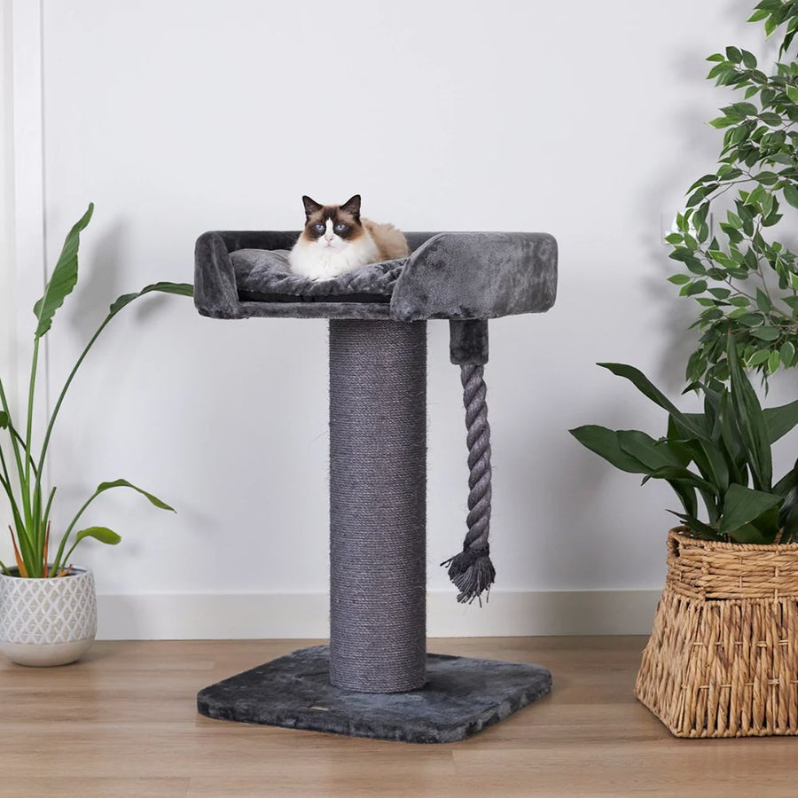 High Bed Scratching Post for Large Cats, Charcoal