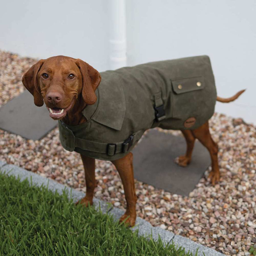 Aussie Oilskin Waterproof Dog Coat, Olive