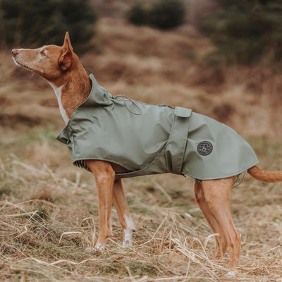 Hunter Milford Raincoat for Dogs With Harness Opening, Olive Green