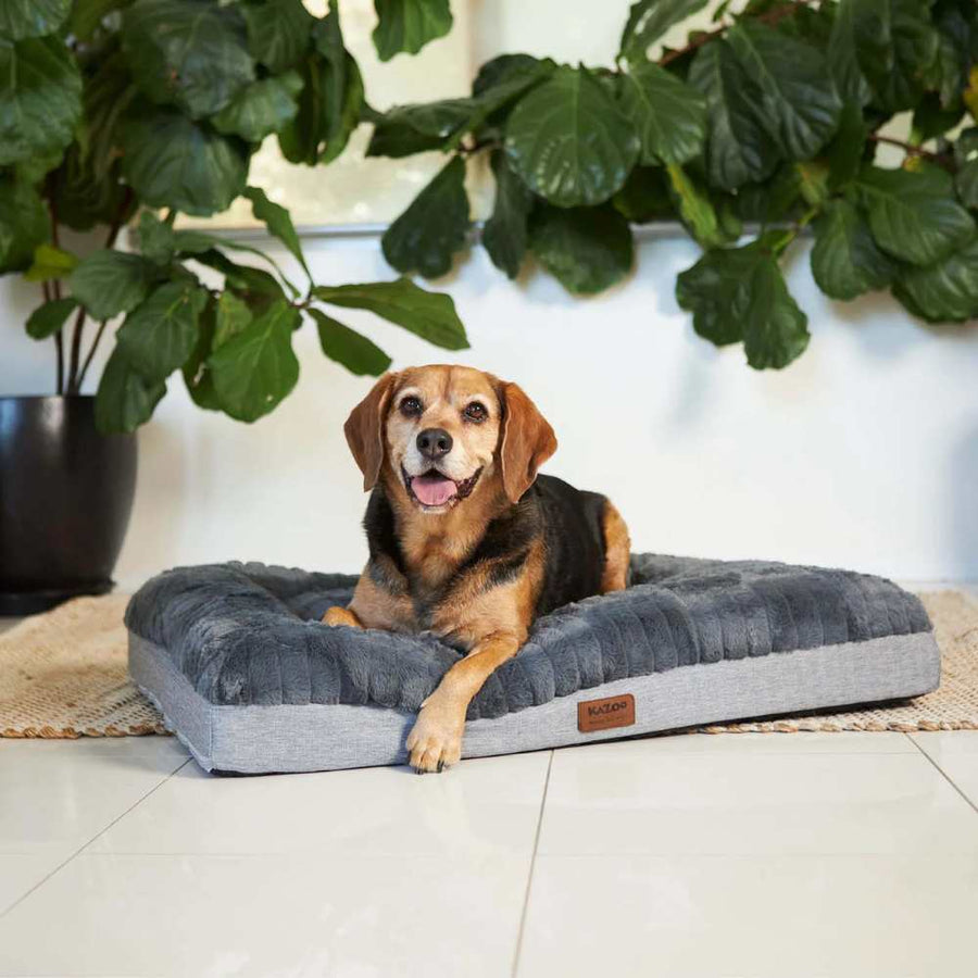 Cloud Comfort Dog Bed, Charcoal & Grey