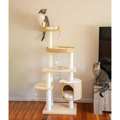 Premium Solid Wood and Natural Wicker Cat Tree