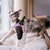 Tre Ponti Genesis Adjustable Step In Harness For Dogs And Cats, Pink