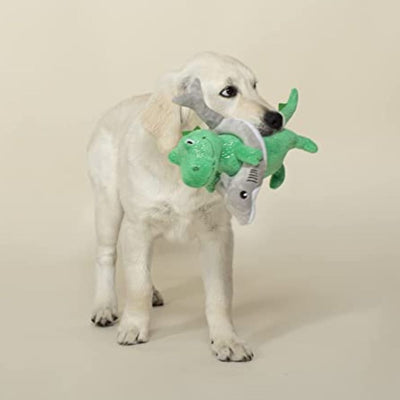 Fringe Studio Shark Week T-Rex Plush Squeaker Dog Toy