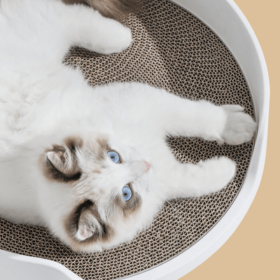 Furrytail Litter Box Mayitwill Cat Castle Semi Closed Litter Box with Scoop, White