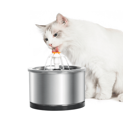 Petwant Pet Fountain Petwant Stainless Steel Cat Water Fountain