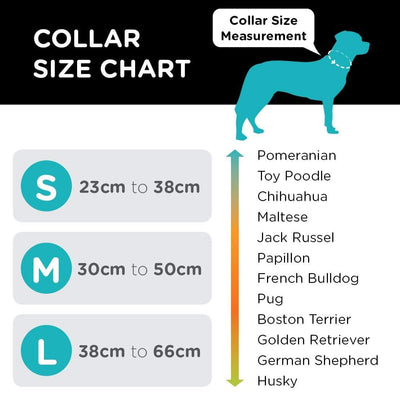 Woof Concept Dog Collar Woof Concept Dog Collar, Rove