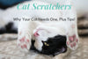 Cat Scratchers - Why Your Cat Needs One, Plus Tips!