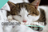 CHOOSING THE RIGHT LITTER BOX FOR YOUR CAT
