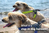 The Safety Benefits of Step in Dog Harnesses
