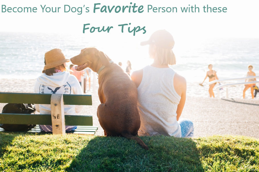 4 Tips To Help You Become Your Dog’s Favorite Person