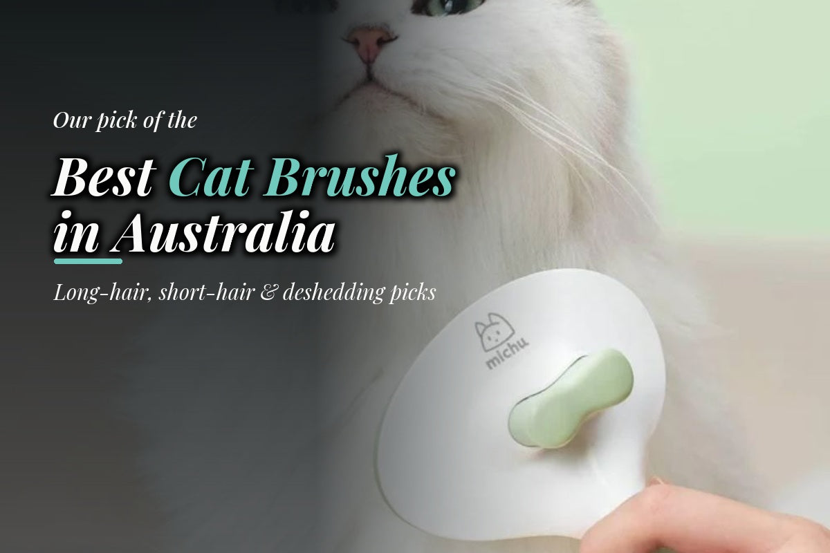 Best cat brush in Australia for grooming, deshedding and removing loose cat hair