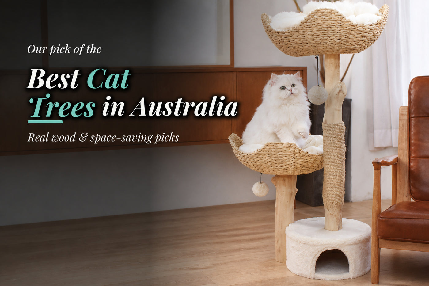 White cat sitting on a natural wood and woven-basket cat tree beside the words “Best Cat Trees in Australia”.