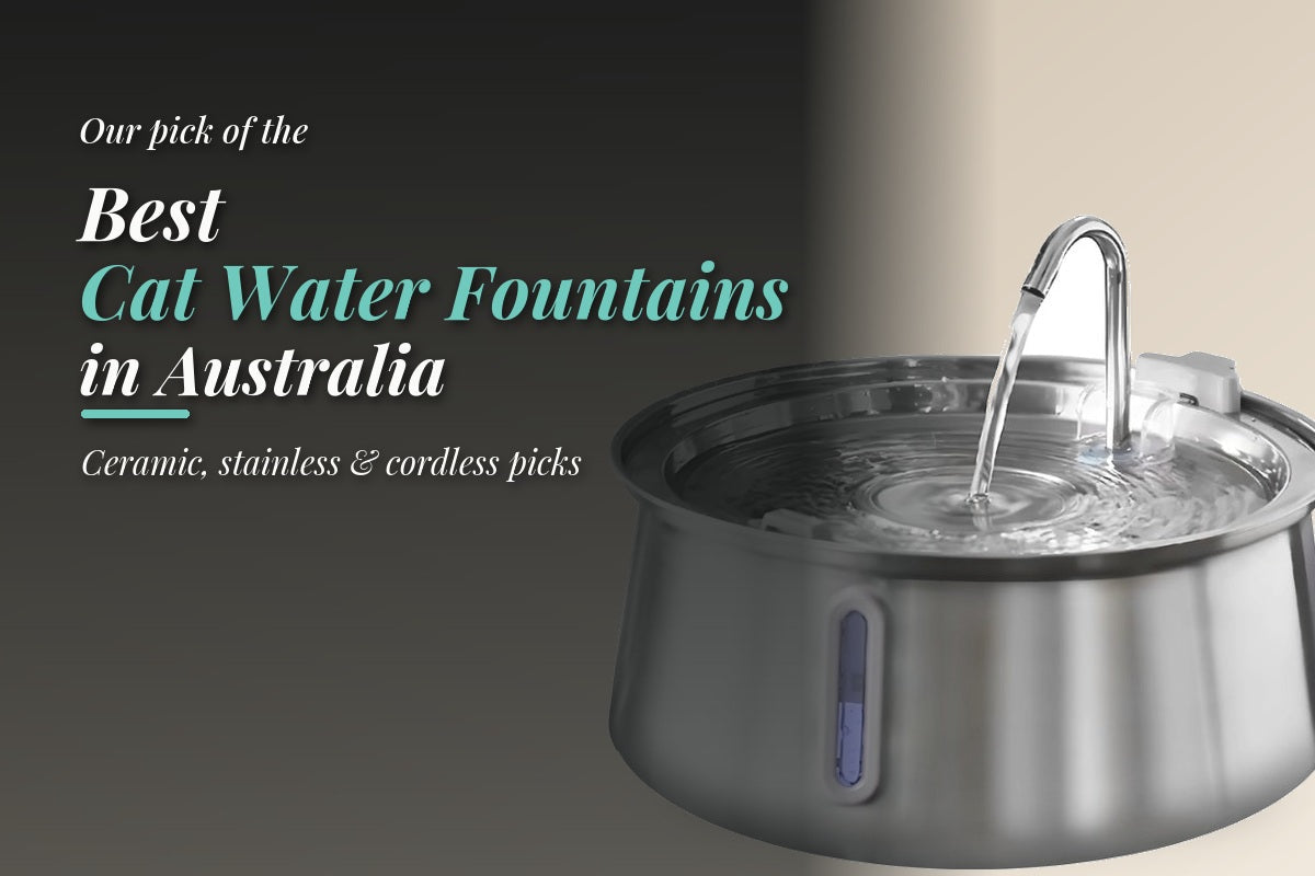 Best cat water fountains in Australia for 2026, featuring a stainless-steel pet water fountain.