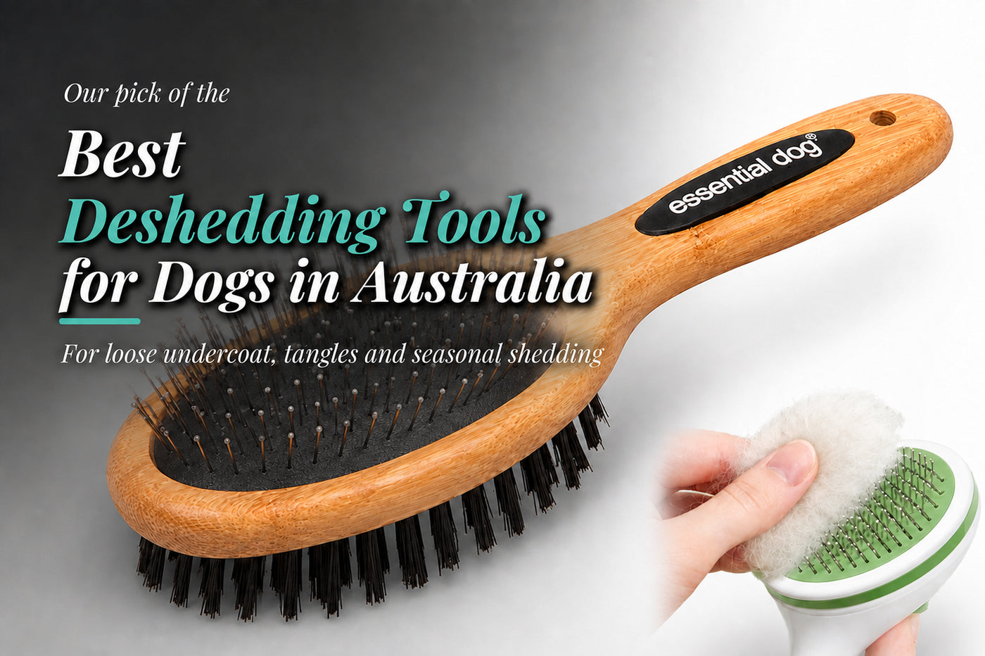 Best deshedding tools for dogs in Australia including a slicker brush and shedding brush