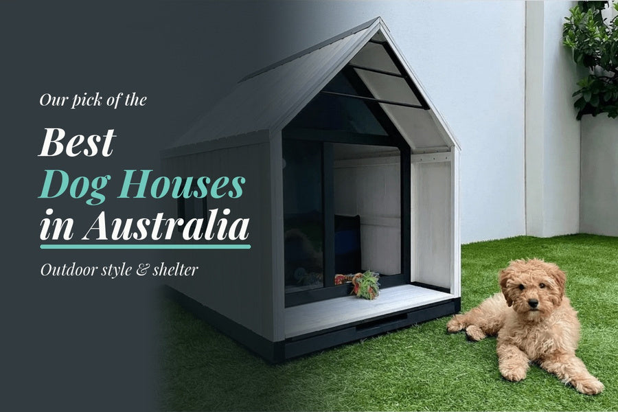 A small tan dog lying on grass beside a white Nordic Modern Dog House, featured in Modern Pets’ best dog houses in Australia guide.
