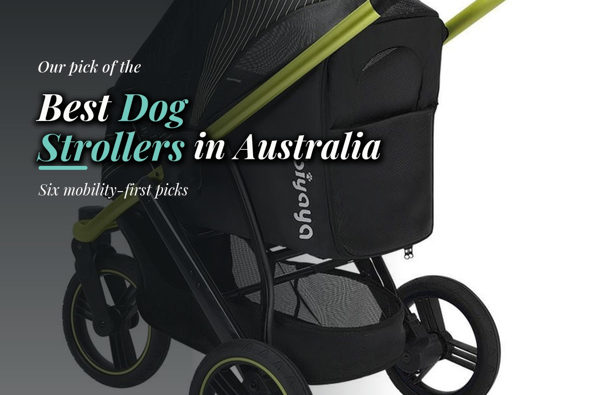 Best Dog Strollers Australia 2026