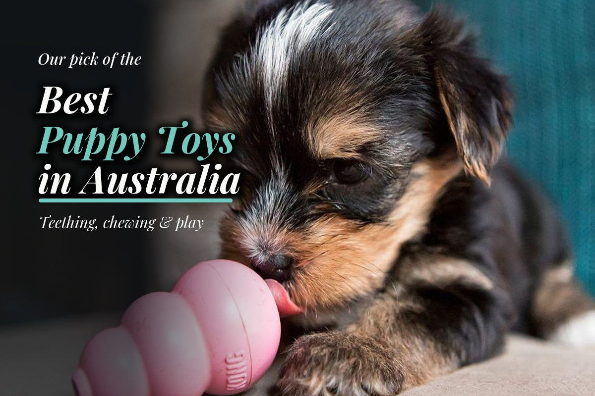 Puppy chewing a pink KONG toy beside text reading “Best Puppy Toys in Australia.”