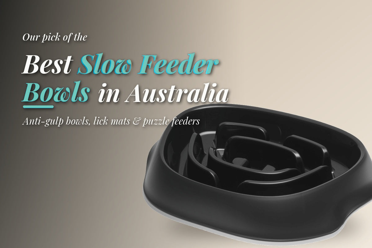 Best slow feeder dog bowl in Australia: Moderna Slomo anti-gulp slow feeder from Modern Pets
