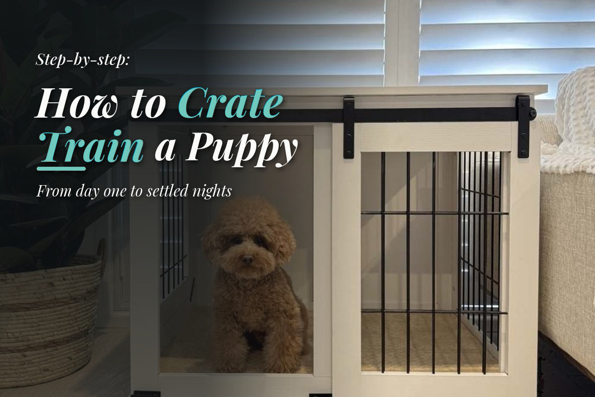How to crate train a puppy: small dog sitting inside a wooden furniture-style dog crate from Modern Pets