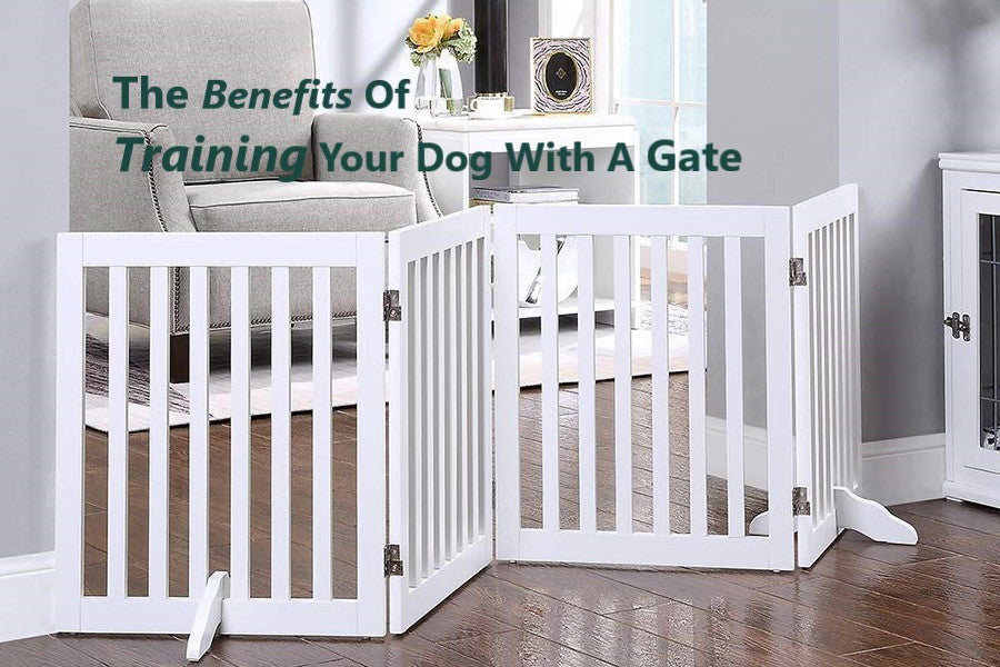 The Benefits of Training Your Dog With A Gate