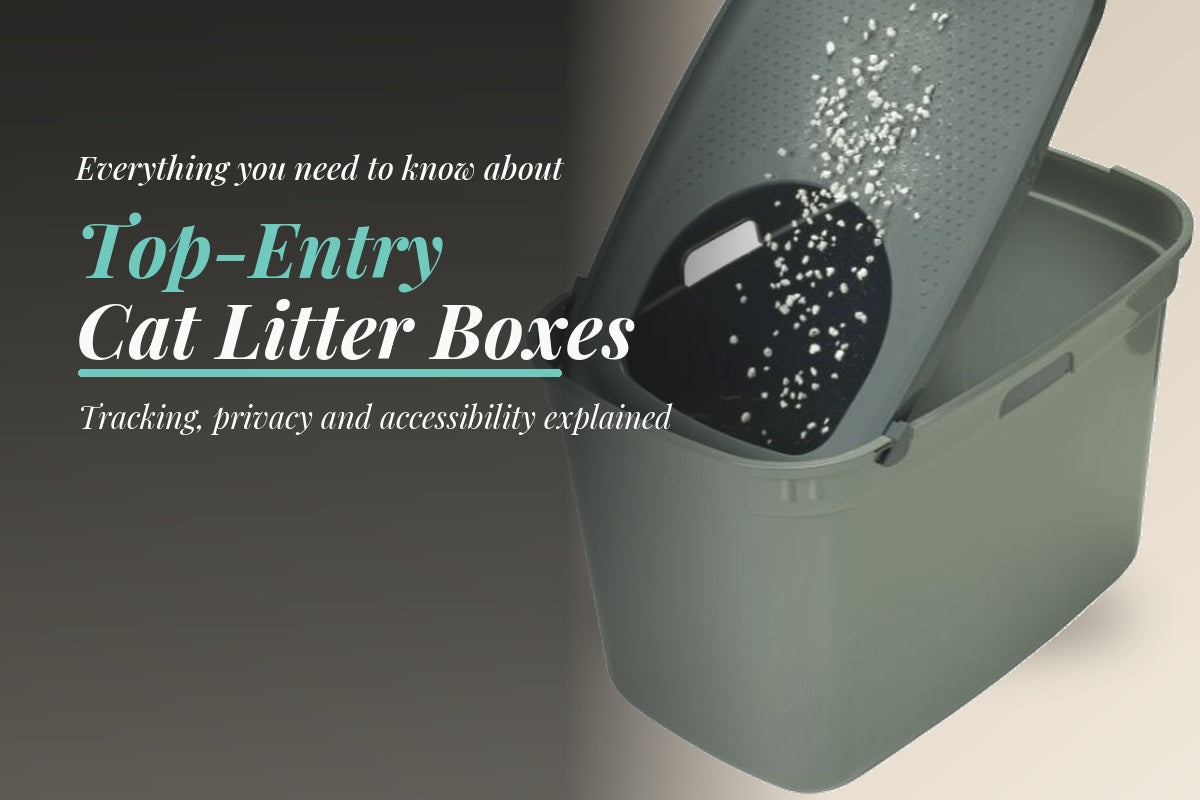 SEO-optimised alt text: Top-entry cat litter box with perforated lid designed to reduce litter tracking and provide cats with privacy.