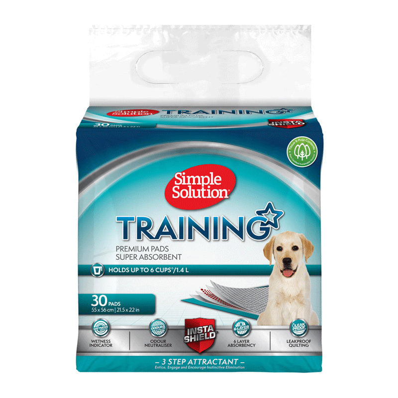 Potty Training