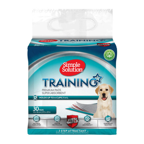Potty Training
