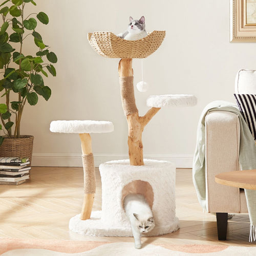 Cat Trees