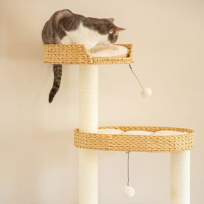 Premium Solid Wood and Natural Wicker Cat Tree