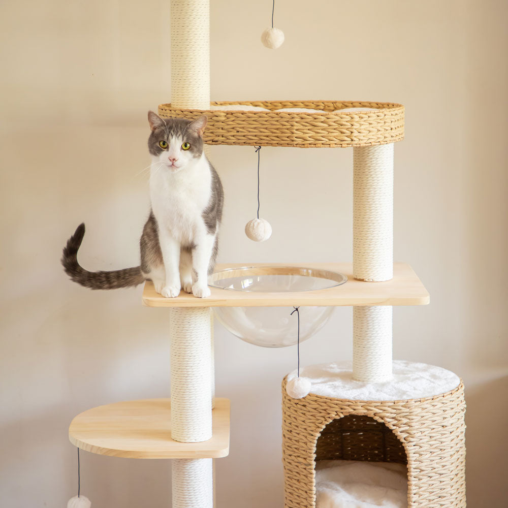 Premium Solid Wood and Natural Wicker Cat Tree Modern Pets
