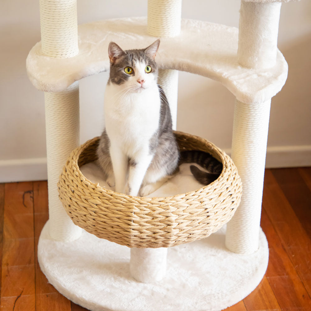 5Platform Plush and Wicker Cat Tree Modern Pets