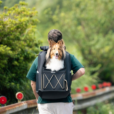 Ibiyaya Champion Large Dog Backpack, Black