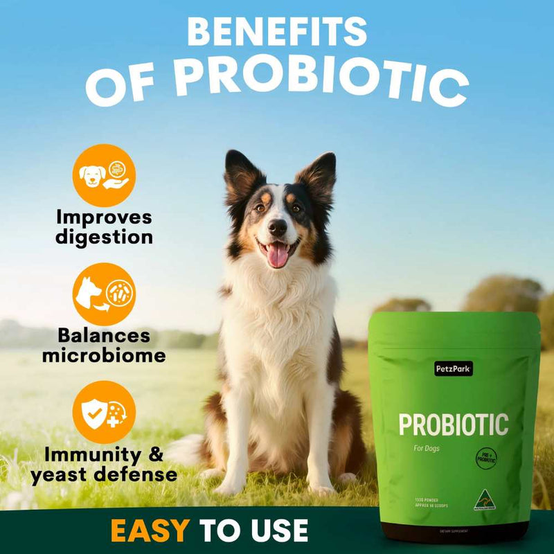 Petz Park Supplement For Dogs | Probiotic