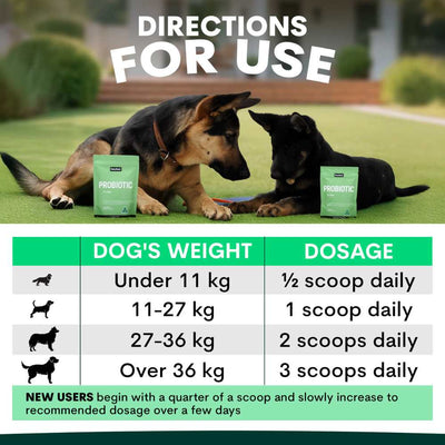 Petz Park Supplement For Dogs | Probiotic