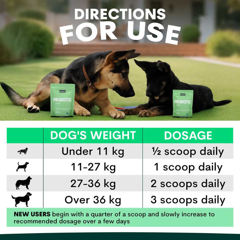 Petz Park Supplement For Dogs | Probiotic
