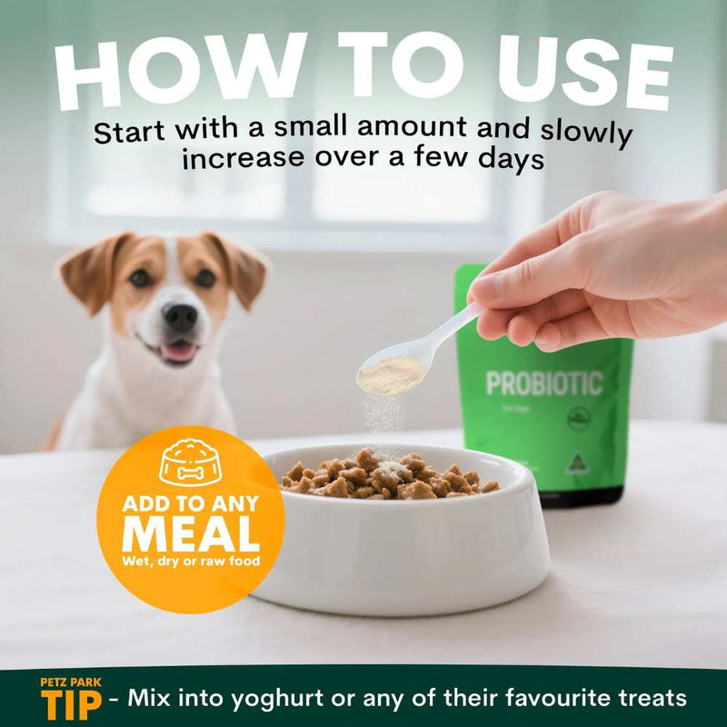 Petz Park Supplement For Dogs | Probiotic