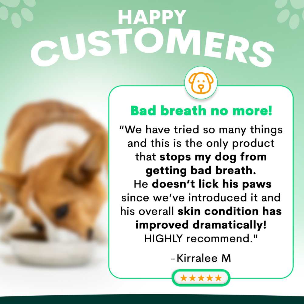 Petz Park Supplement For Dogs | Probiotic