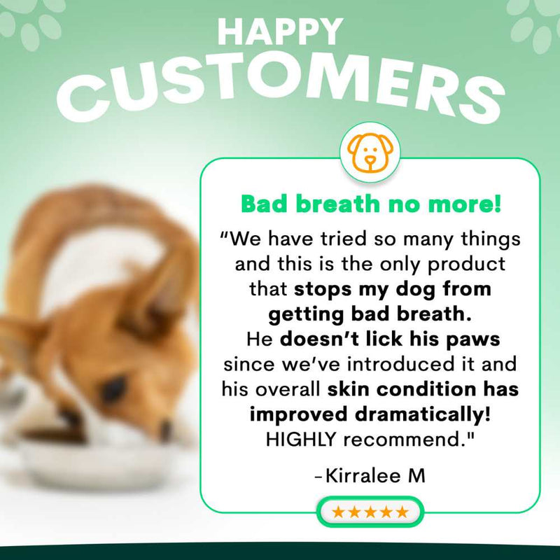 Petz Park Supplement For Dogs | Probiotic