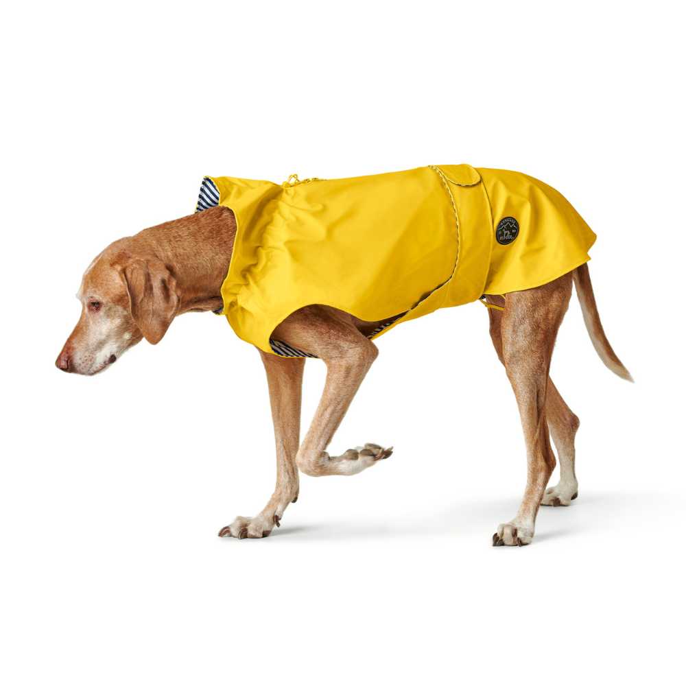 Hunter Milford Raincoat for Dogs with Harness Opening, Yellow