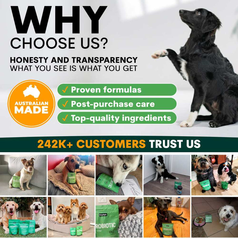 Petz Park Supplement For Dogs | Probiotic