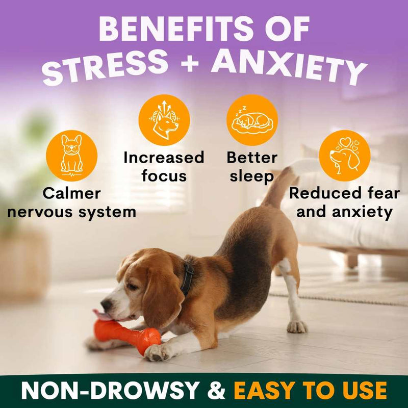 Petz Park Supplement For Dogs | Stress + Anxiety