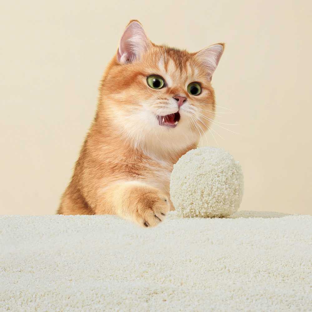 Michu Wonder Litter Plant-Based Auto Litter Box Friendly | Unscented