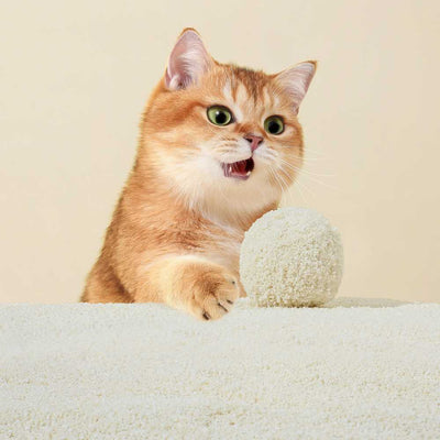 Michu Wonder Litter Plant-Based Auto Litter Box Friendly | Unscented