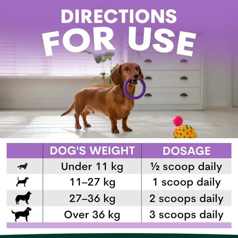 Petz Park Supplement For Dogs | Stress + Anxiety