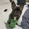 Petz Park Supplement For Dogs | Probiotic