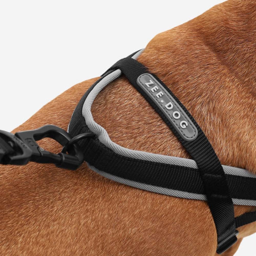 SofterWalk No Pull Dog Harness | Gotham