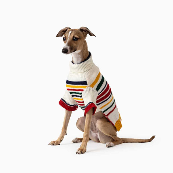 Knitted Dog Jumpers for Sale Online Modern Pets