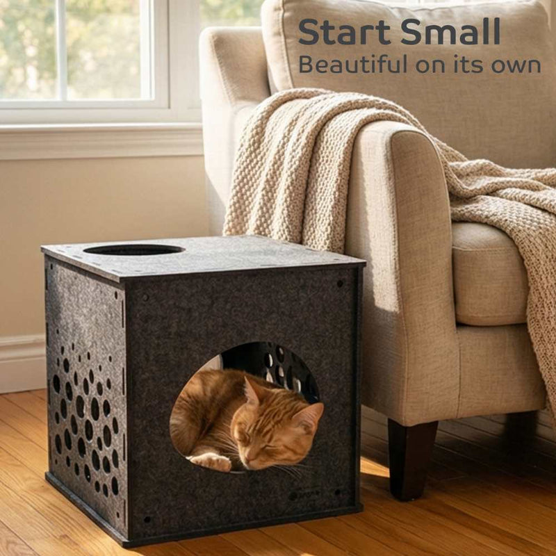 Modular Cat Cube, Charcoal